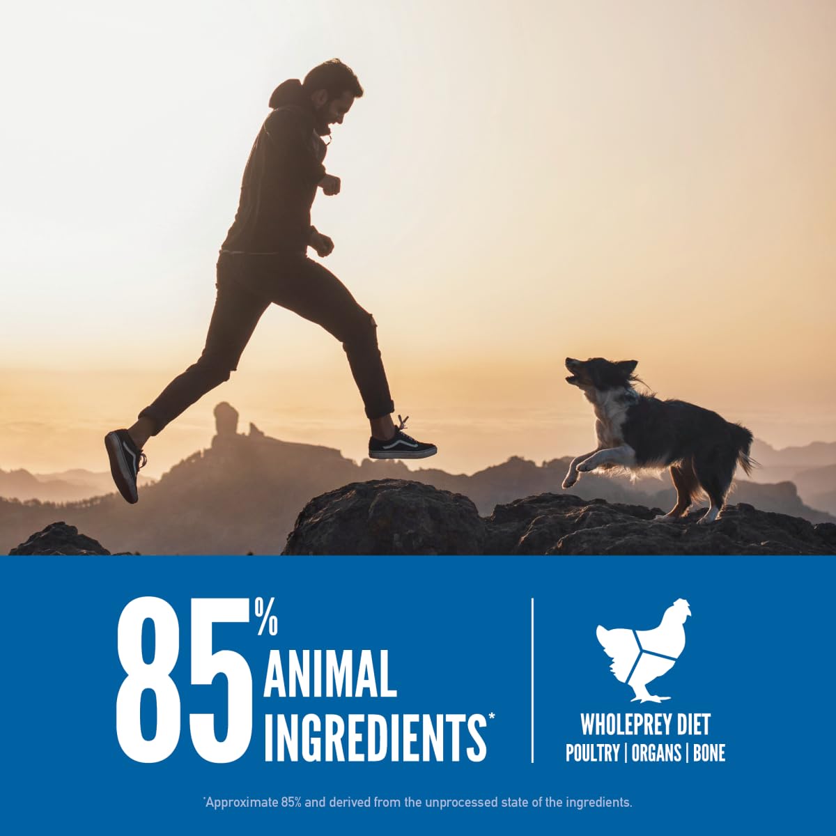 ORIJEN Grain Free High Protein Dry Dog Food Original Recipe 13lb Bag