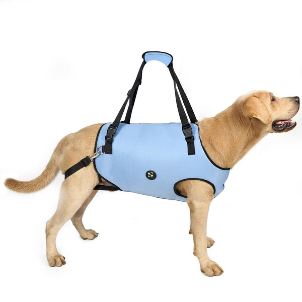 Coodeo Dog Lift Harness, Pet Support & Rehabilitation Sling Lift Adjustable Padded Breathable Straps for Old, Disabled, Joint Injuries, Arthritis, Loss of Stability Dogs Walk (Blue, S)