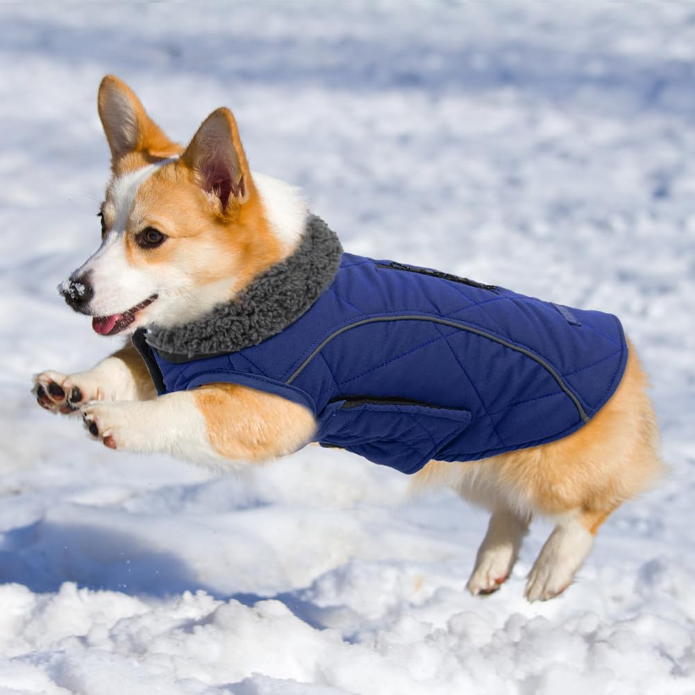 EMUST Thick Winter Dog Coats for Medium Dogs, Boy - 7 Sizes, 13 Colors (Medium, Green)