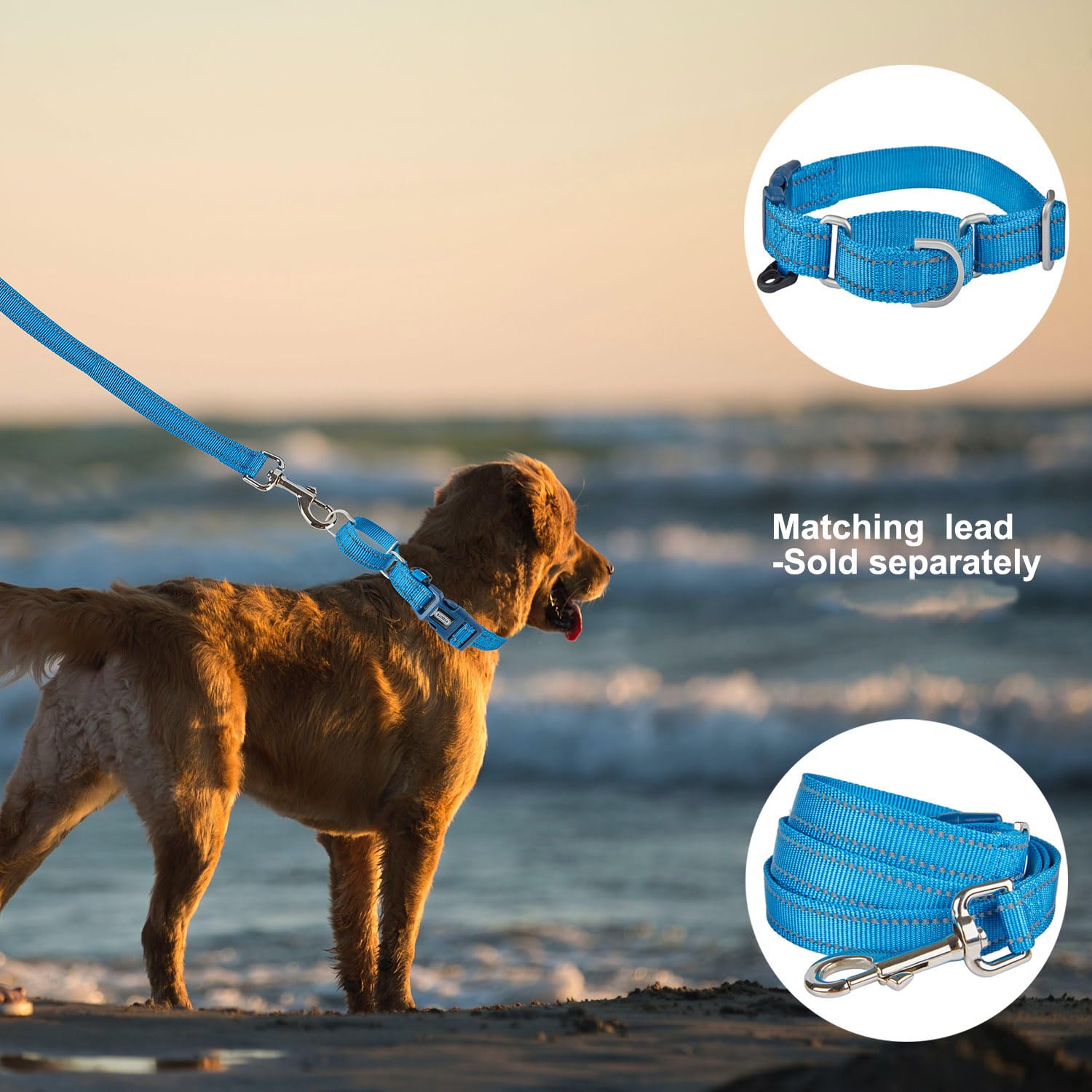 YUDOTE Reflective Martingale Collar for Dogs with Quick Snap Buckle Anti-Pull Nylon Safe Slip Collars for Easy Walking,Blue,Medium