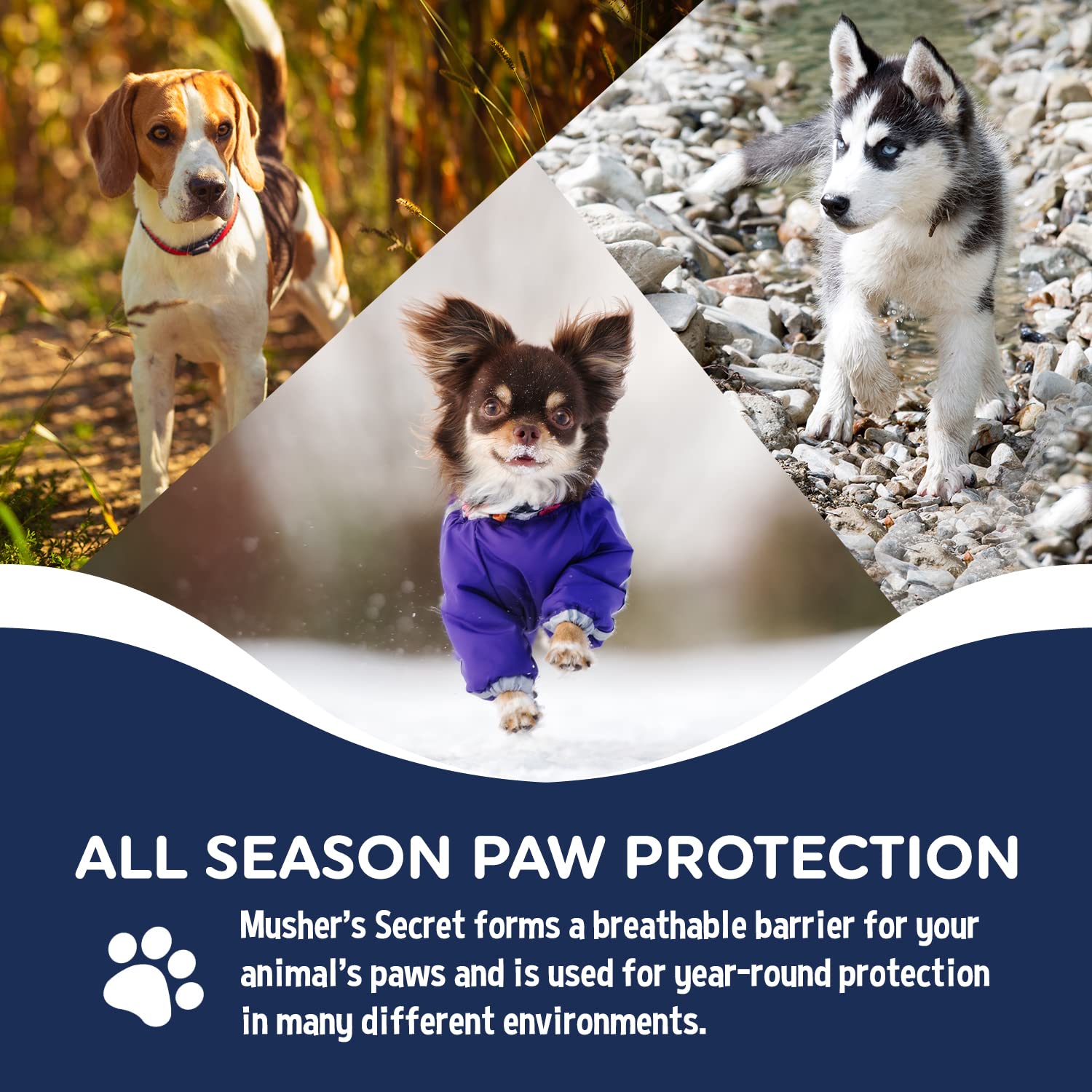 Musher's Secret Dog Paw Wax 60g – Moisturizing Dog Paw Balm – Helps Protect & Heals Cracked Paws – Creates an Invisible Paw Protectors Barrier – All-Natural Nose & Paw Balm with Vitamin E