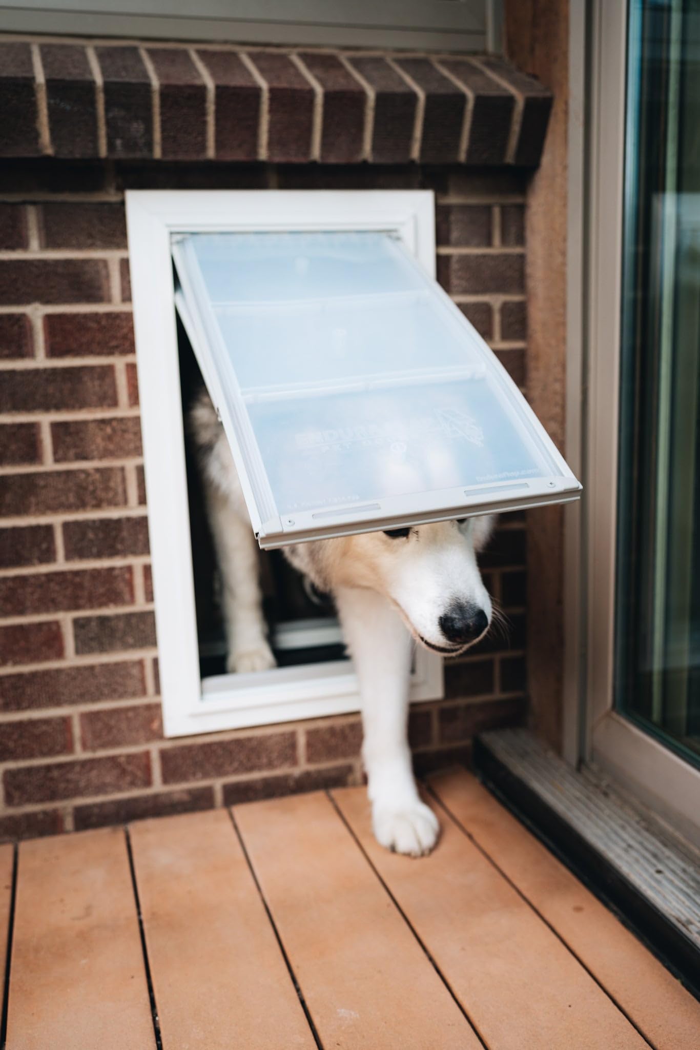 Endura Flap Pet Door for Walls in White | Energy-Efficient Double Flap Design for Wall Installations | All-Weather Protection with All-Metal Telescoping Tunnel | White, Small, Double Flap