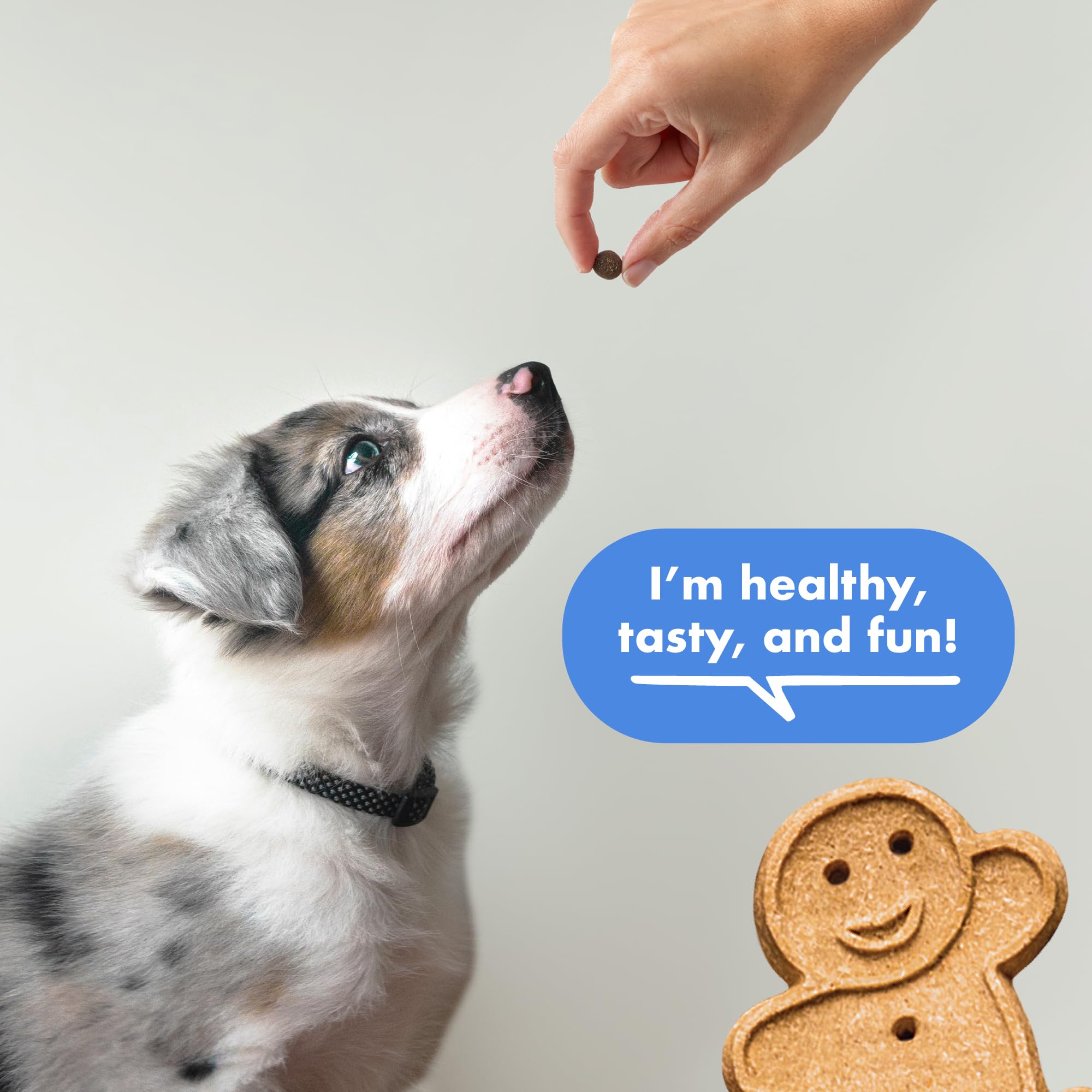 Buddy Biscuits Trainers Training Bites Soft & Chewy Dog Treats, Bacon, 10 oz. Pouch