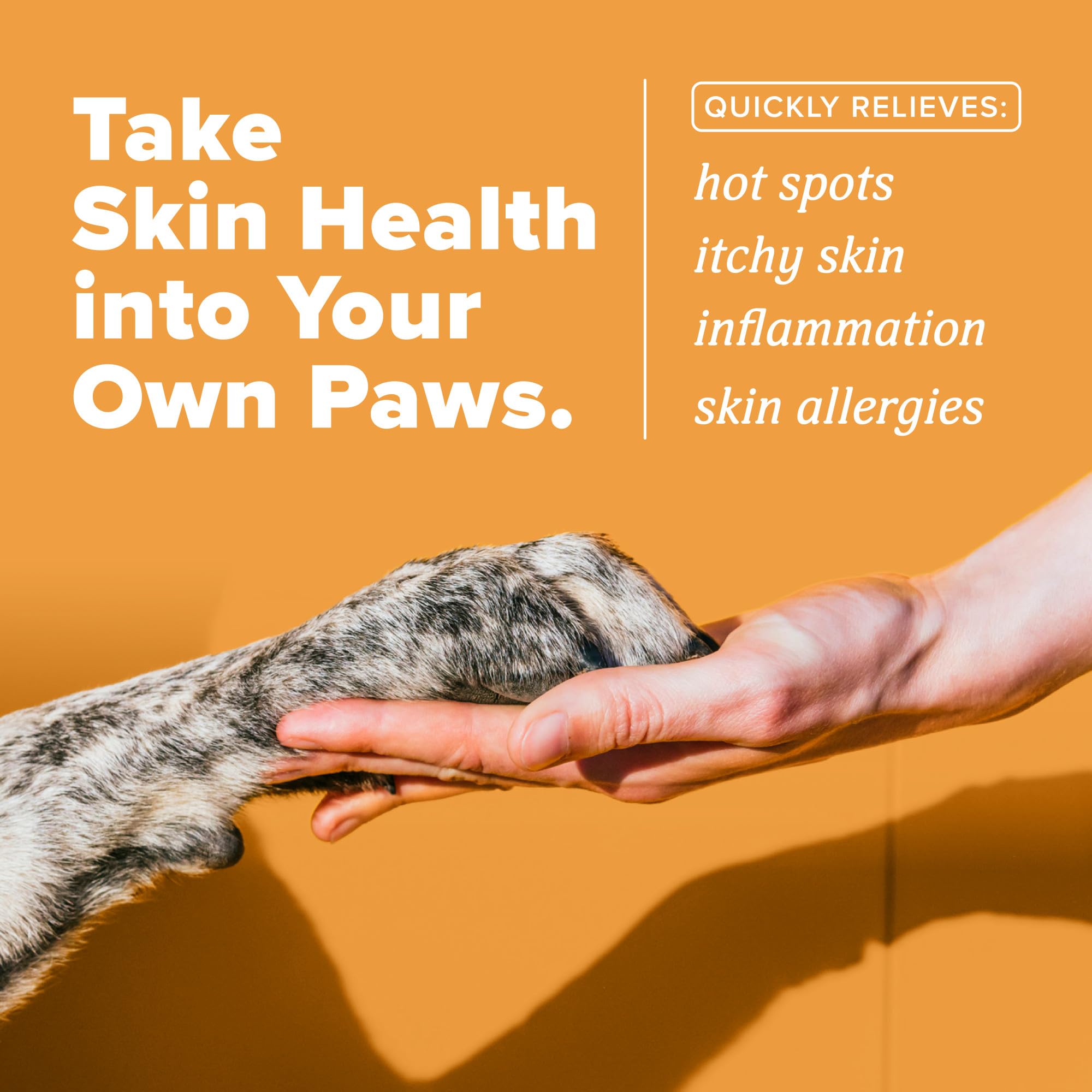 TropiClean HomeVet Allergy & Itch Spray, Dog Allergy Relief & Hot Spot Treatment for Dogs & Cats, Vet Recommended Itching Skin Relief, USA Made, 8 oz