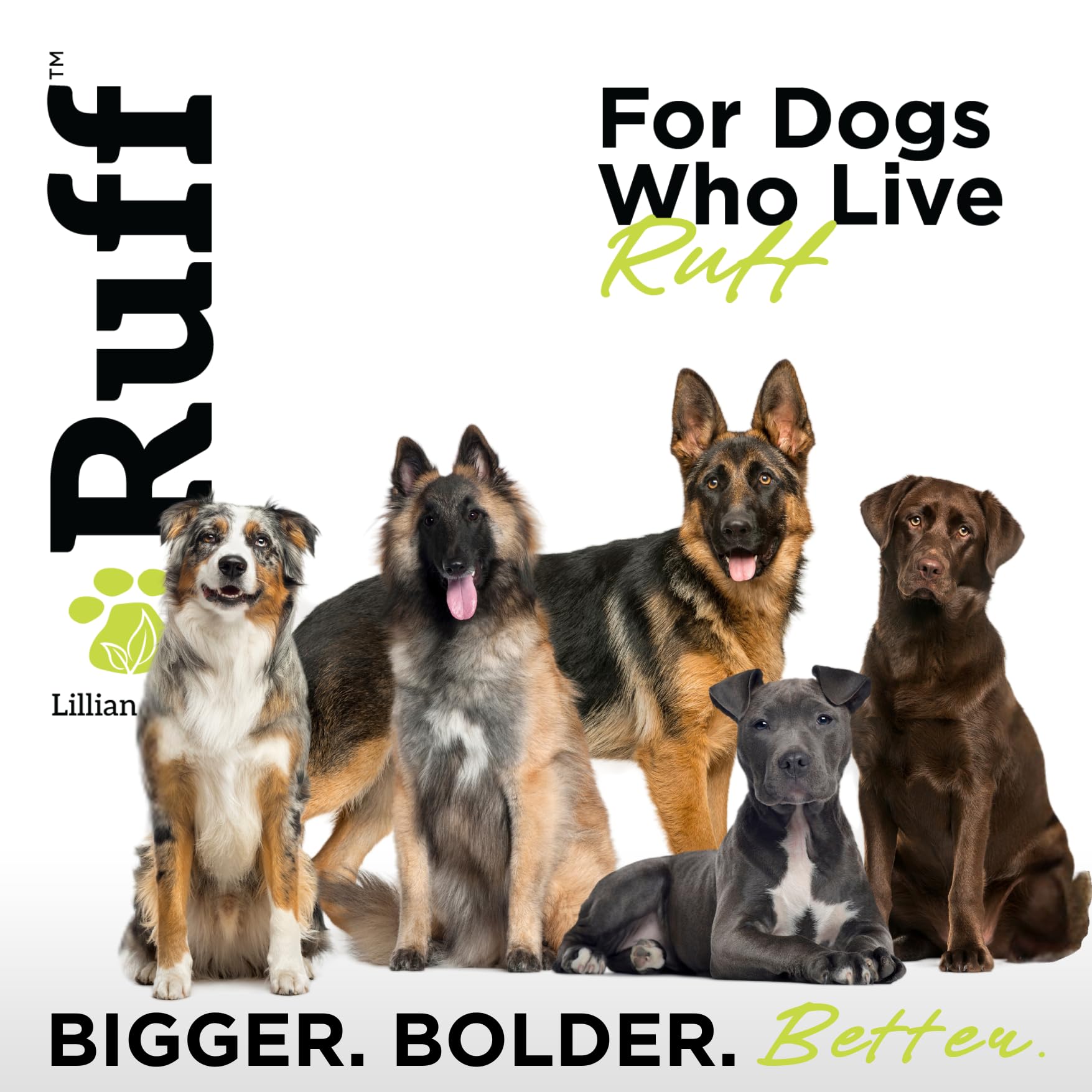 Ruff by Lillian Ruff Deshedding Dog Shampoo | Coconut Lime | Vitamin E, Omega-3, Aloe & Coconut Oil | Relieves Shedding, Itching & Hot Spots | Moisturizing & Deodorizing | Safe for Puppies | USA Made