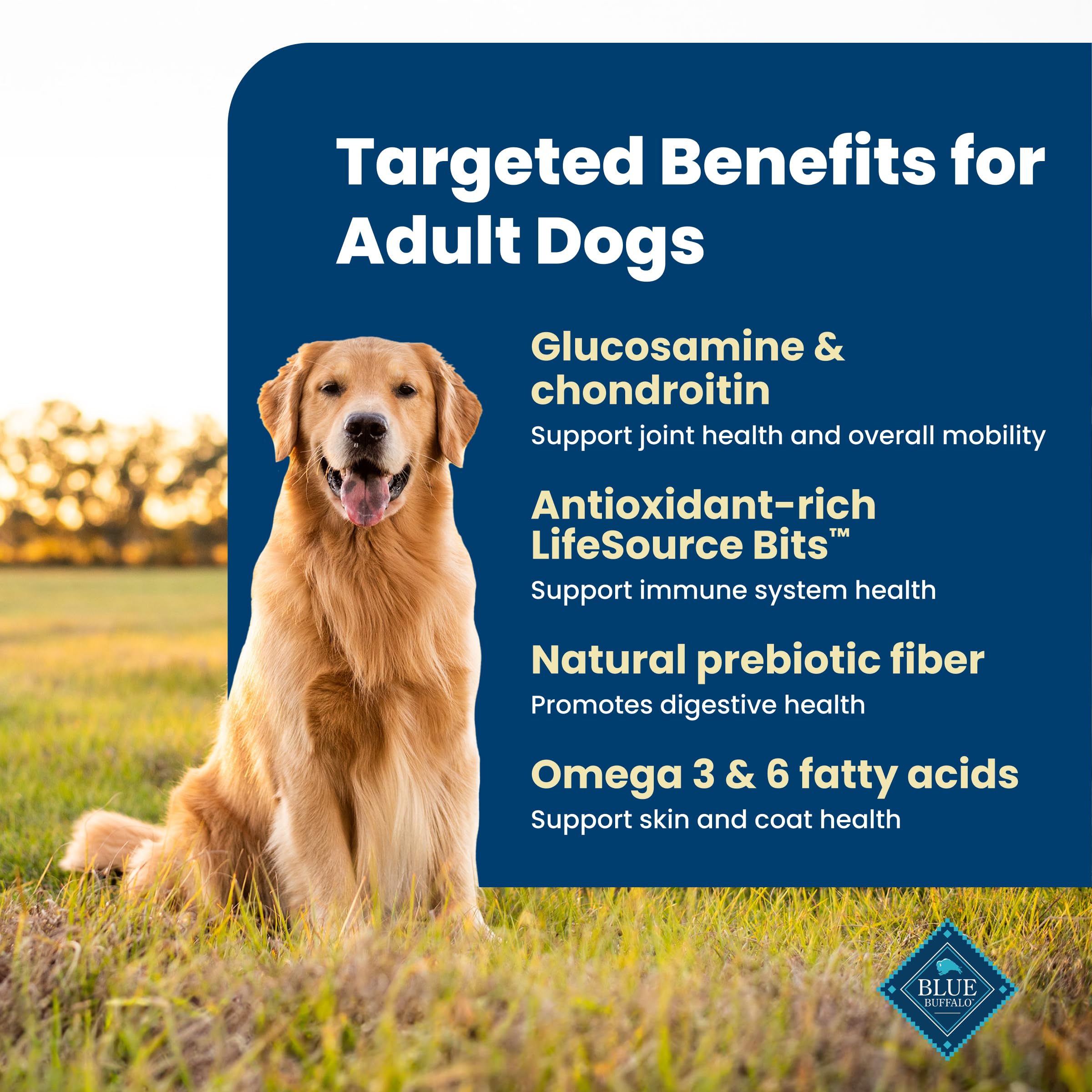 Blue Buffalo Life Protection Formula Chicken & Brown Rice Adult Dry Dog Food, Supports Immunity with Antioxidant-Rich LifeSource Bits, Promotes Healthy Muscle Development, Skin & Coat Health, 30 lbs.