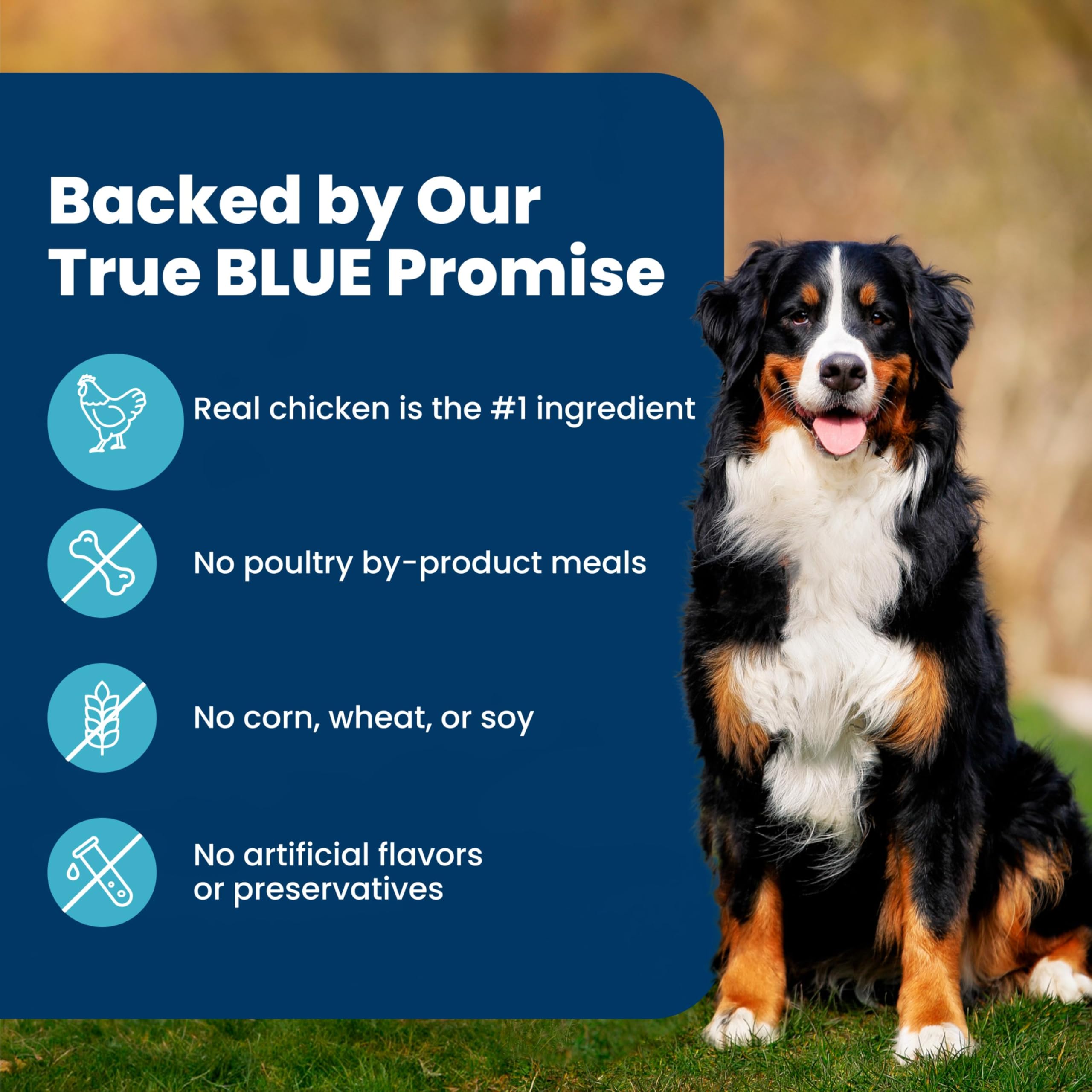 Blue Buffalo Life Protection Formula Chicken & Brown Rice Adult Dry Dog Food, Supports Immunity with Antioxidant-Rich LifeSource Bits, Promotes Healthy Muscle Development, Skin & Coat Health, 15 lbs.