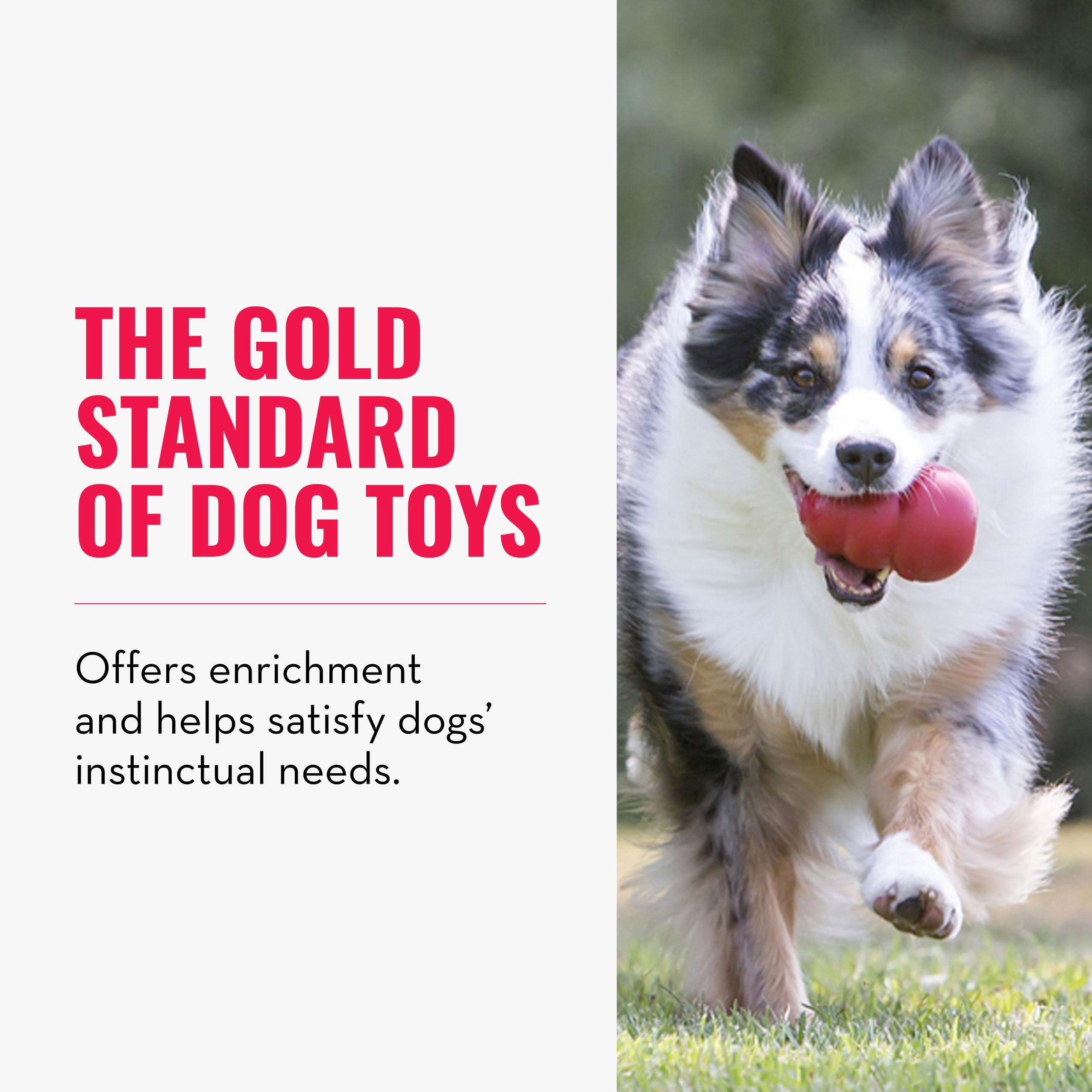 KONG Classic Stuffable Dog Toy - Fetch & Chew Toy for Dogs - Treat-Filling Capabilities & Erratic Bounce for Extended Play Time - Durable Natural Rubber Material - for Large Dogs