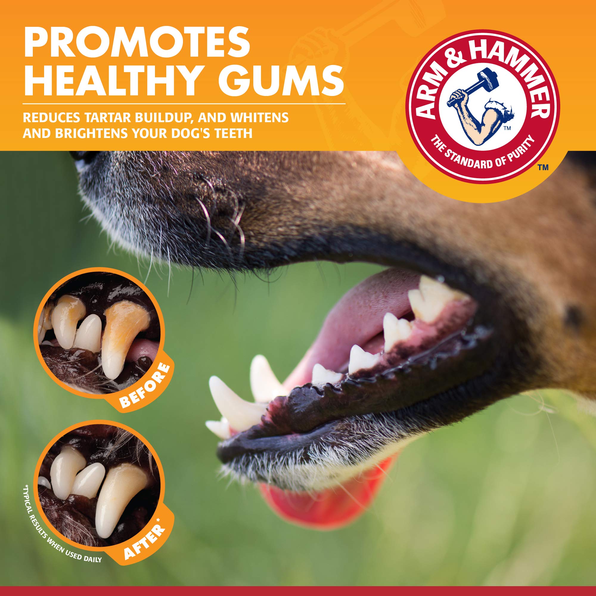 Arm & Hammer for Pets Clinical Care Enzymatic Toothpaste for Dogs | Soothes Inflamed Gums | Dog Toothpaste Enzymatic, Chicken Flavor, 2.5 Oz | Arm and Hammer Toothpaste for Dogs, Dog Dental Care