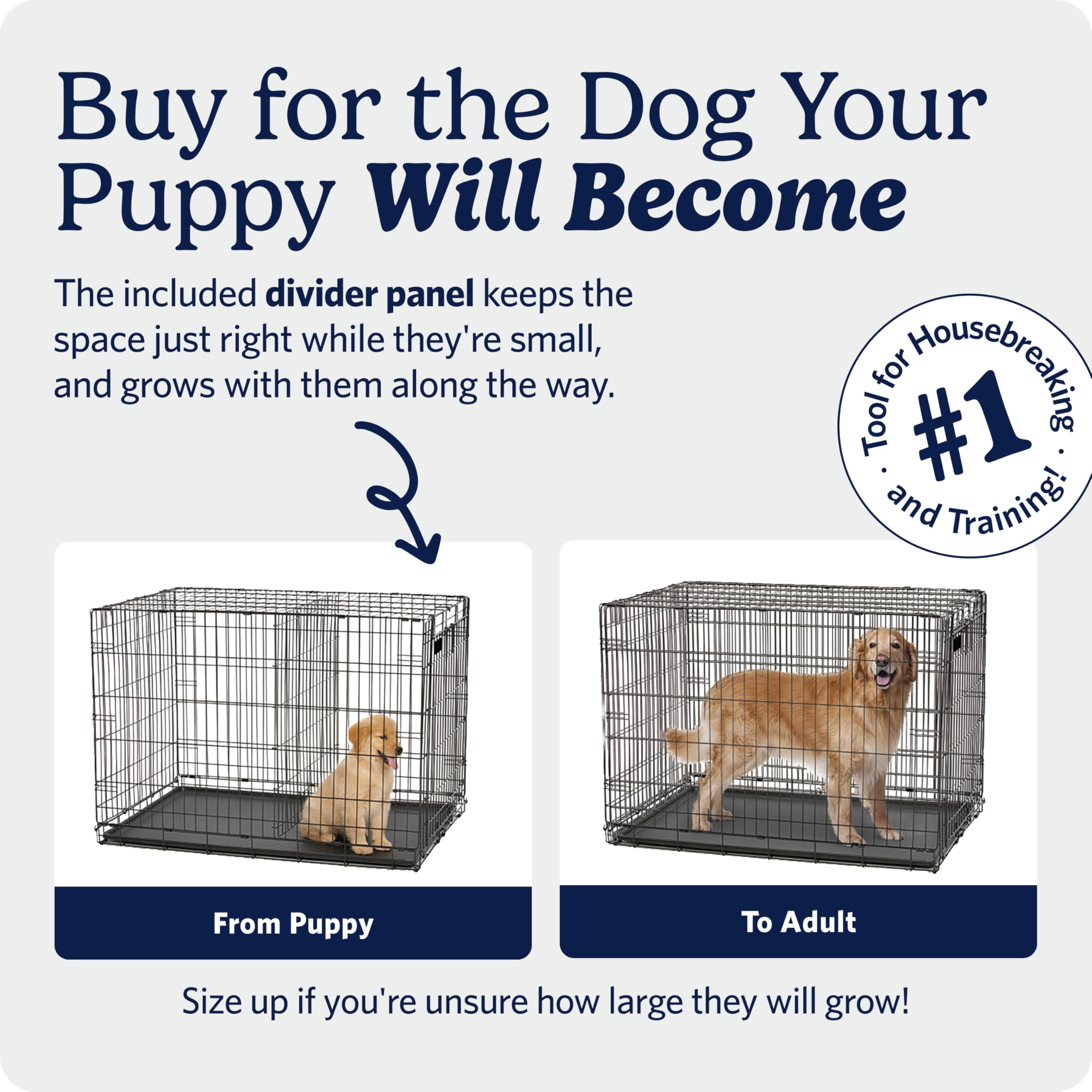 MidWest Homes for Pets 42-Inch iCrate for Large Breeds, 71-90 lbs, Single Door Folding Dog Crate with Divider Panel, Leak-Proof Tray & Secure Latch, Portable, Durable & Easy to Assemble