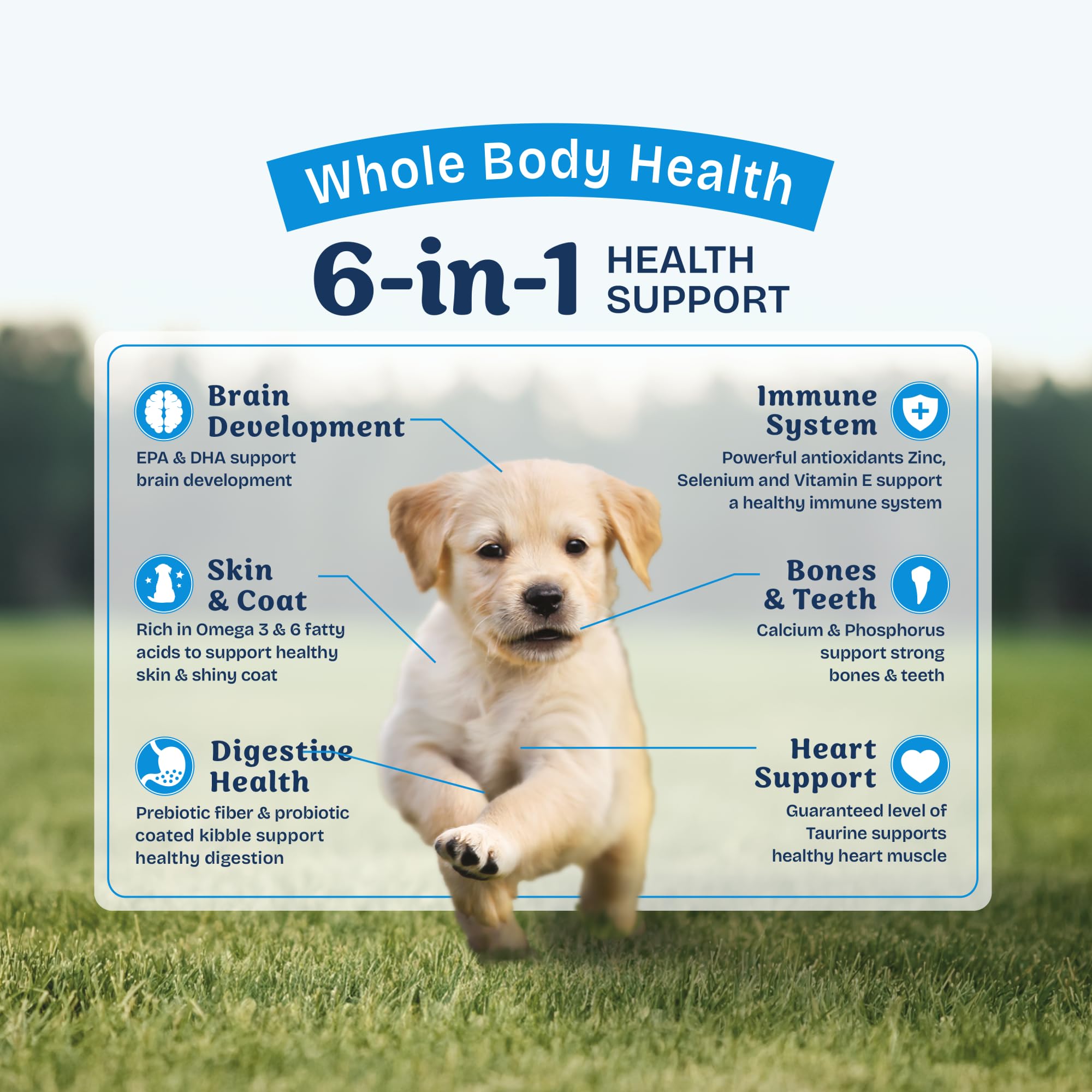 Natural Balance Health Protection Puppy Dry Dog Food – Whole Body Health, Easy on Digestion Dog Food Made with Chicken, Brown Rice & Pumpkin for Puppies - 4lbs.
