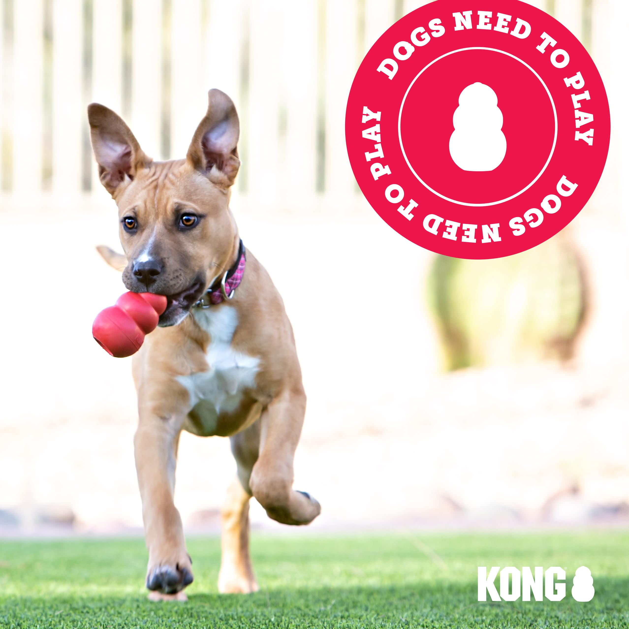 KONG Classic Stuffable Dog Toy - Fetch & Chew Toy for Dogs - Treat-Filling Capabilities & Erratic Bounce for Extended Play Time - Durable Natural Rubber Material - for Small Dogs