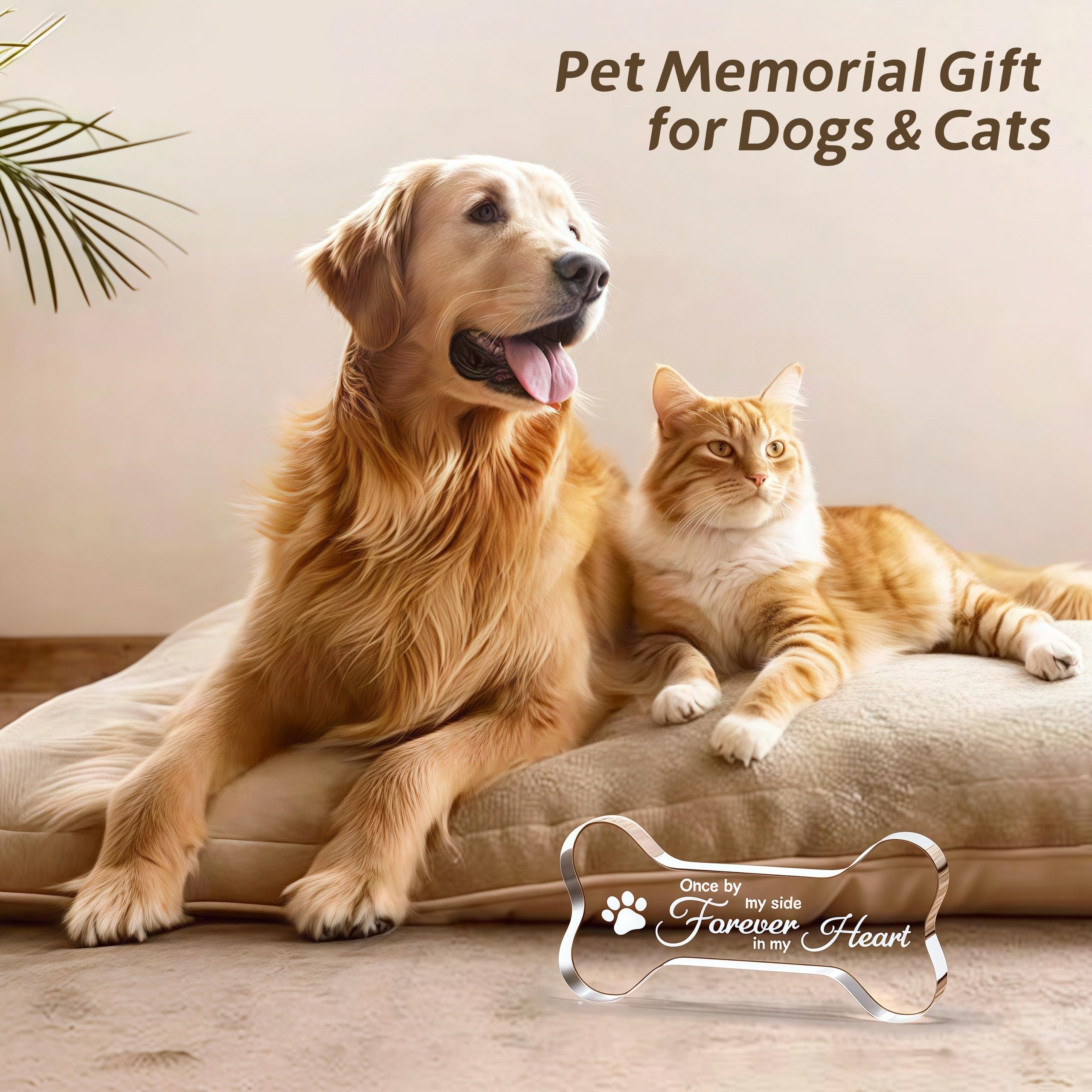 Cynlsum Pet Memorial Ornament Remembrance Gifts Loss of Dog Cat Sympathy Gift Crystal Bone Shape Decor Ornament for Dogs Puppy Keepsake