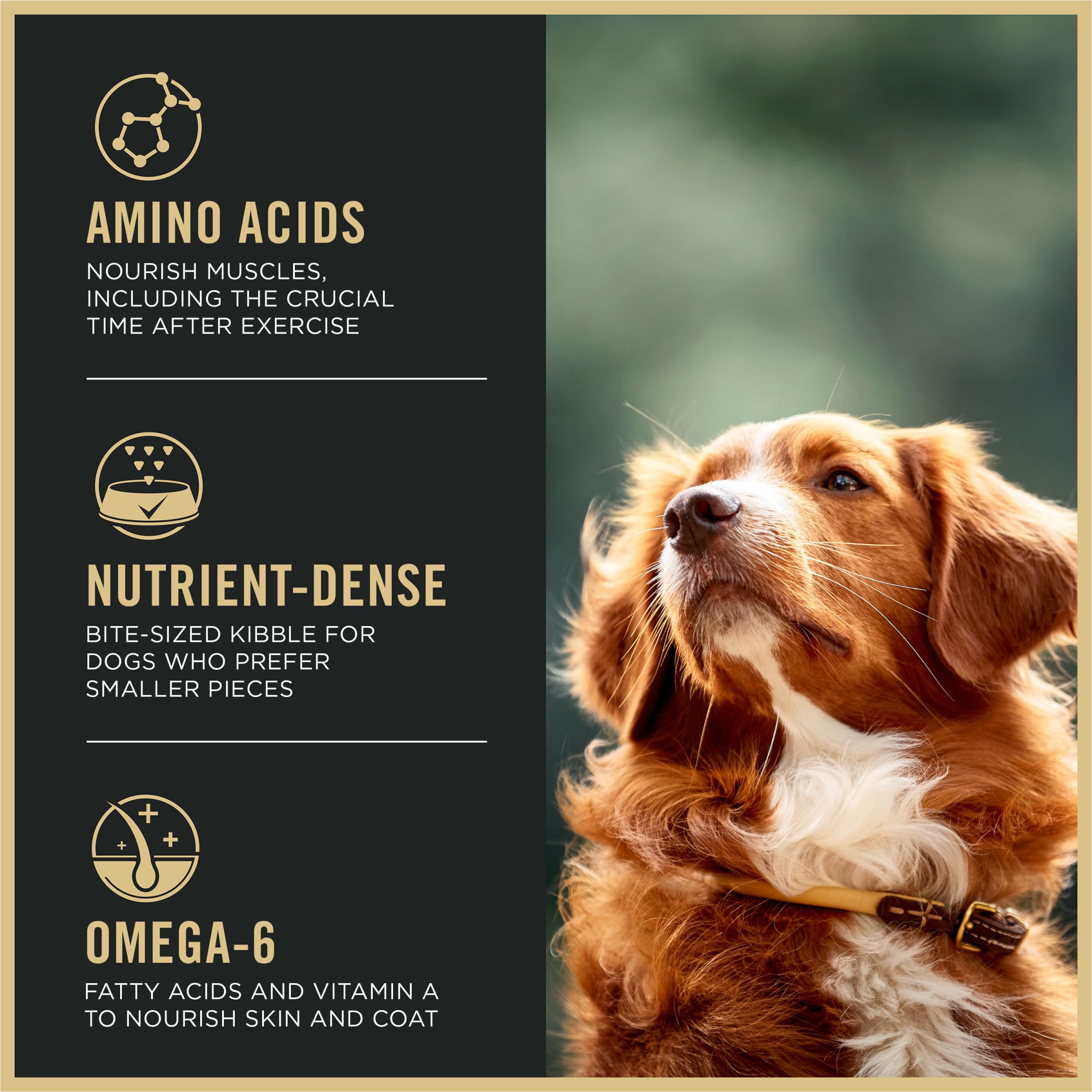 Purina Pro Plan High Protein Dog Food, Small Bites, SPORT 27/17 Lamb and Rice Formula - 37.5 lb. Bag