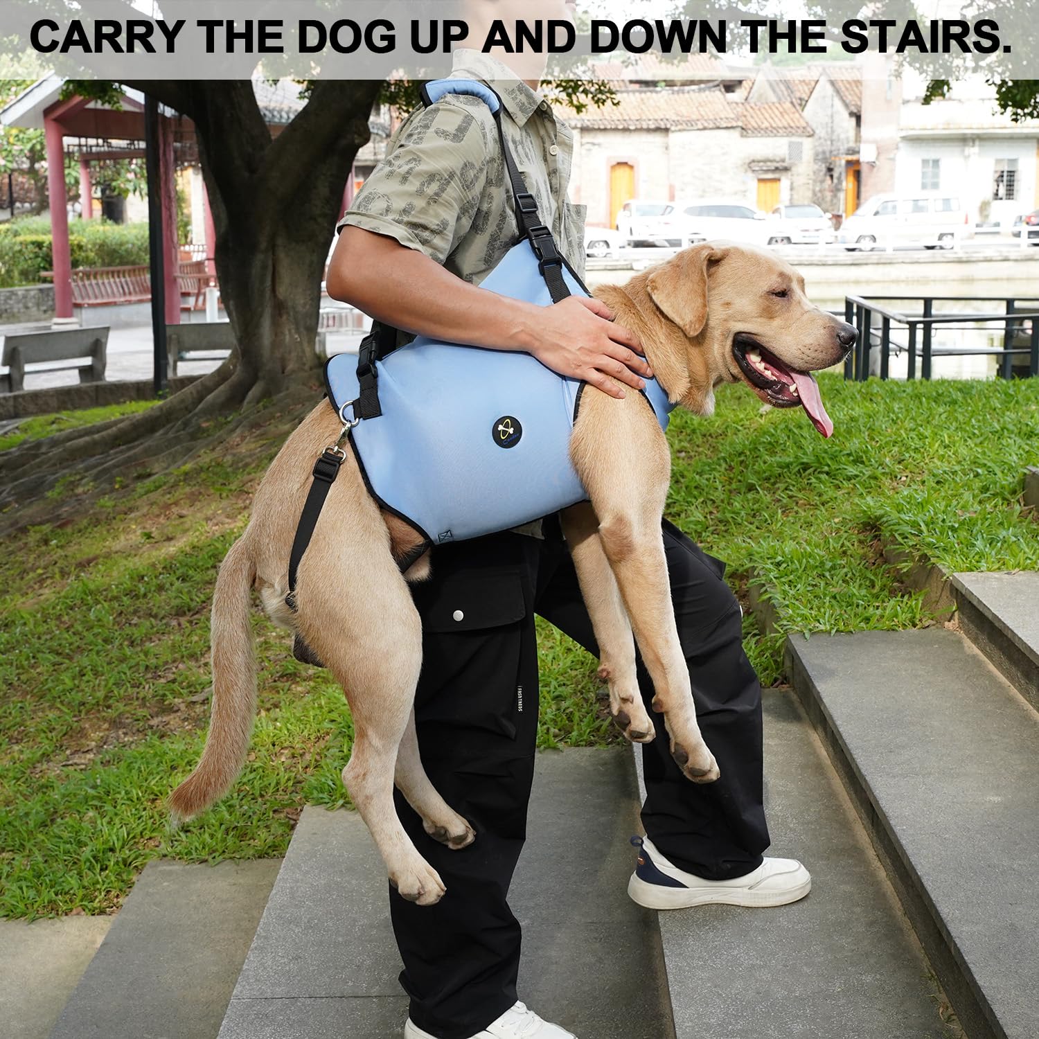Coodeo Dog Lift Harness, Pet Support & Rehabilitation Sling Lift Adjustable Padded Breathable Straps for Old, Disabled, Joint Injuries, Arthritis, Loss of Stability Dogs Walk (Blue, XL)