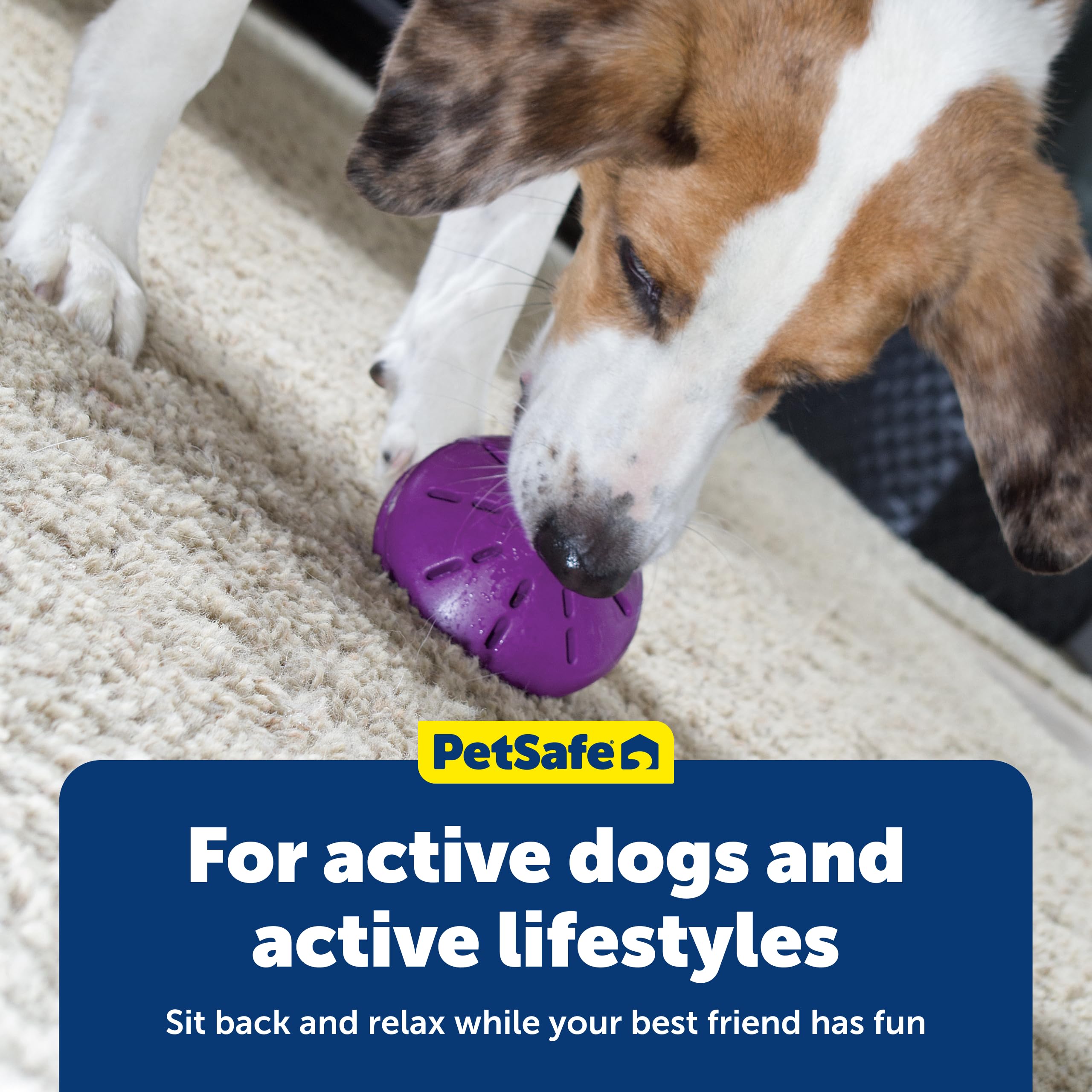 PetSafe Busy Buddy Twist 'n Treat Dispensing Dog Toy - Medium