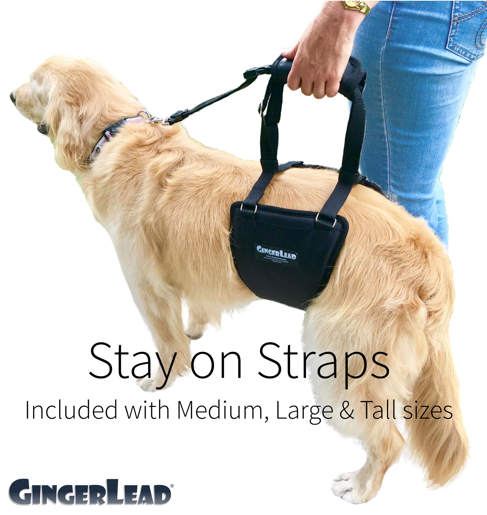 GINGERLEAD Dog Sling Support Harness, LG Female fits Big Dogs Over 65 lbs. Padded Rear Lift with Integrated Leash to Assist Senior K9s, or Recovery from Knee/TPLO, Hip or Back Surgery. Made in U.S.A.