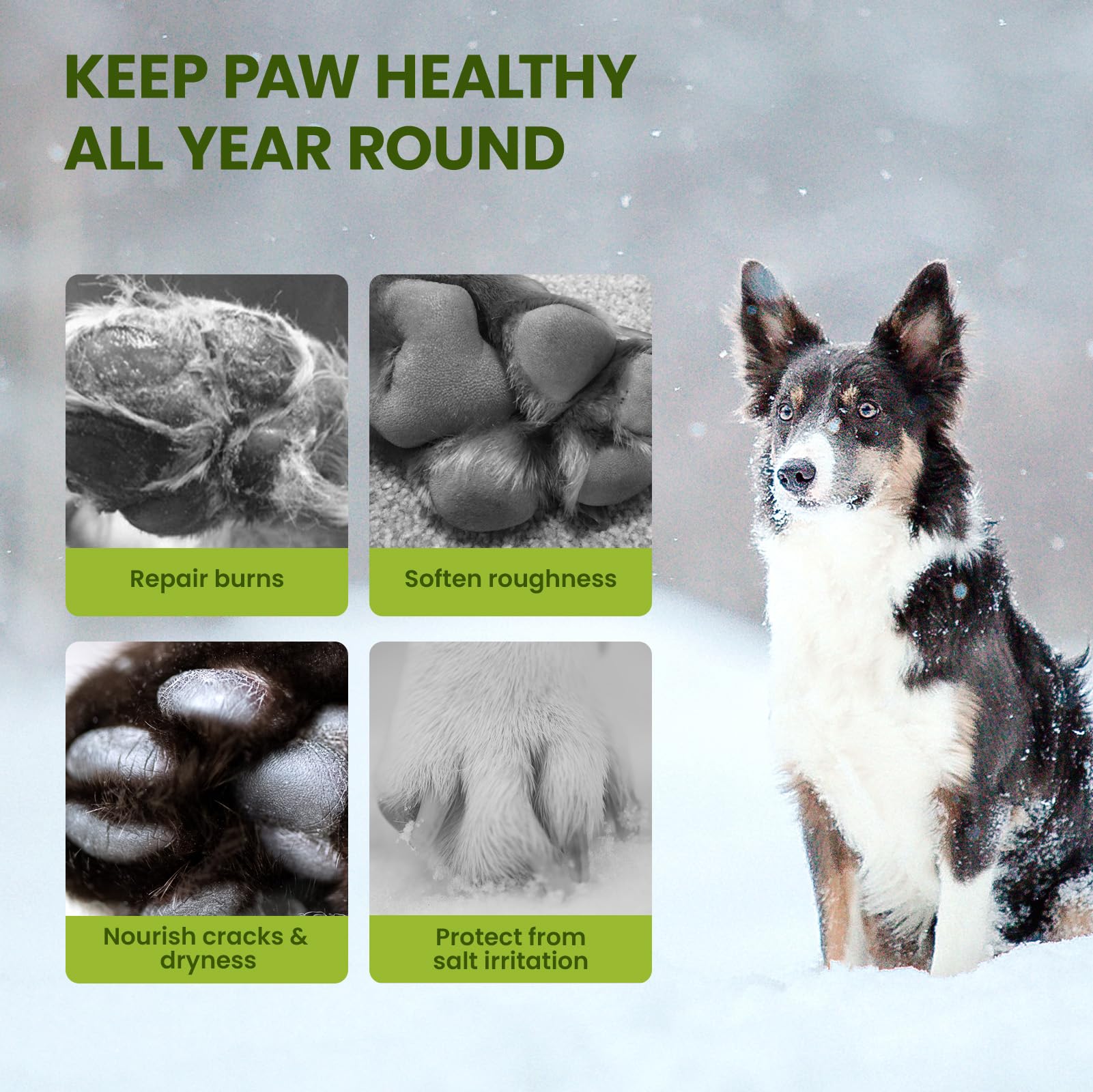 PawSono Lick-Safe Dog Paw Balm for Paws & Nose, All-Natural Paw Pad Moisturizer for Dogs & Cats, Paw Butter Helps Soothe Dry, Cracked Paws, Protects from Snow, Ice Melt & Hot Pavement, 1Pack | 2.1 oz