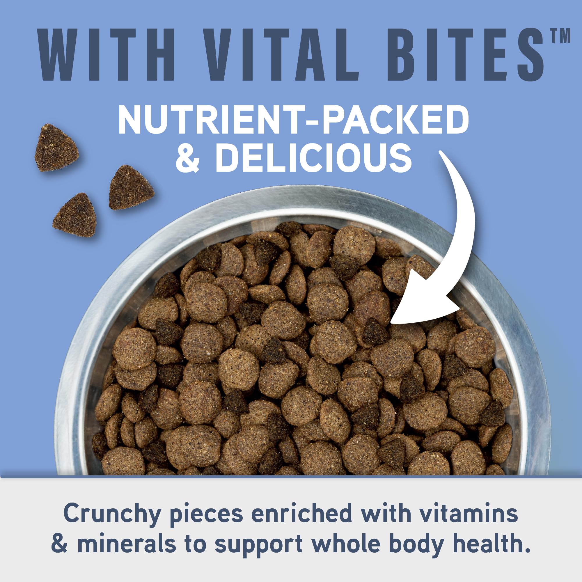 Natural Balance Specialized Nutrition Dry Dog Food Formula with Chicken and Oatmeal for Dogs, Joint Health & Muscle Health Dog Food, Natural Ingredients with Added Vitamins & Minerals - 3.5 lbs