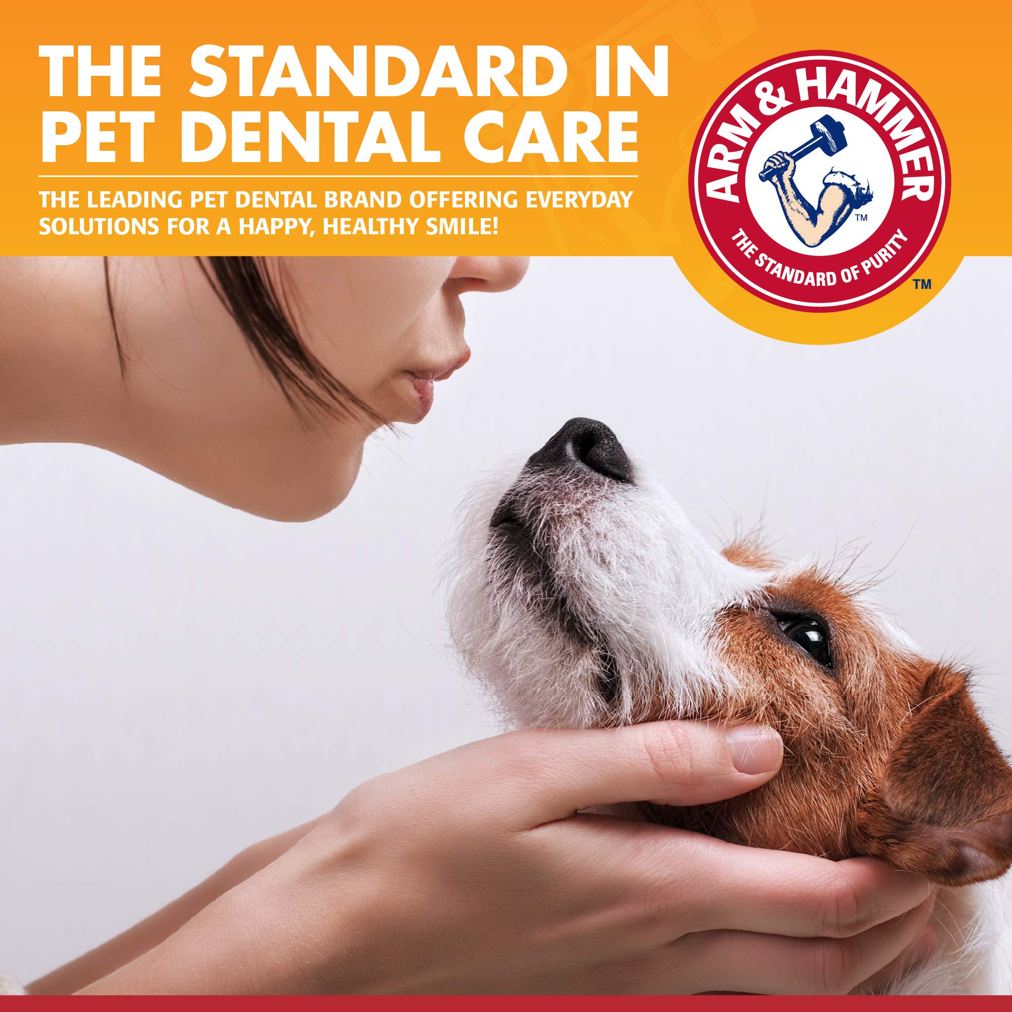 Arm & Hammer for Pets Clinical Care Enzymatic Toothpaste for Dogs | Soothes Inflamed Gums | Dog Toothpaste Enzymatic, Chicken Flavor, 2.5 Oz | Arm and Hammer Toothpaste for Dogs, Dog Dental Care