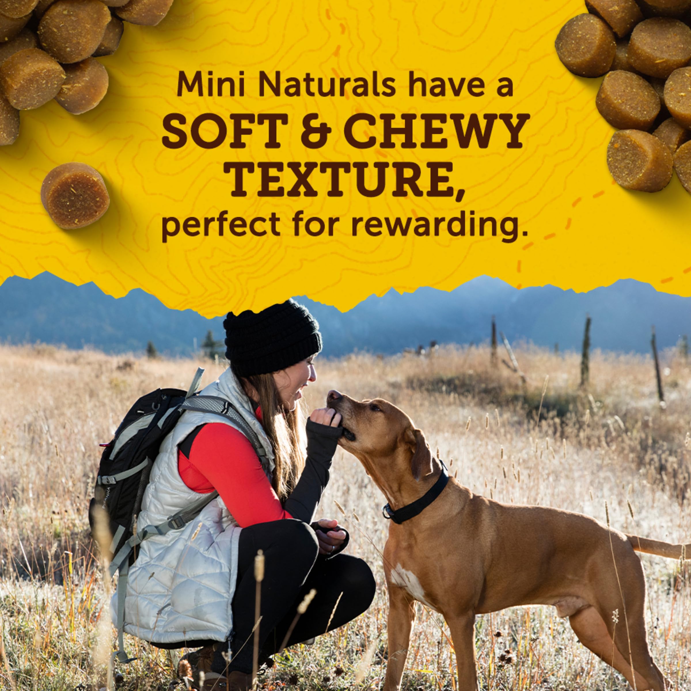 Zuke`s Mini Naturals Dog Treat Peanut Butter 1lb