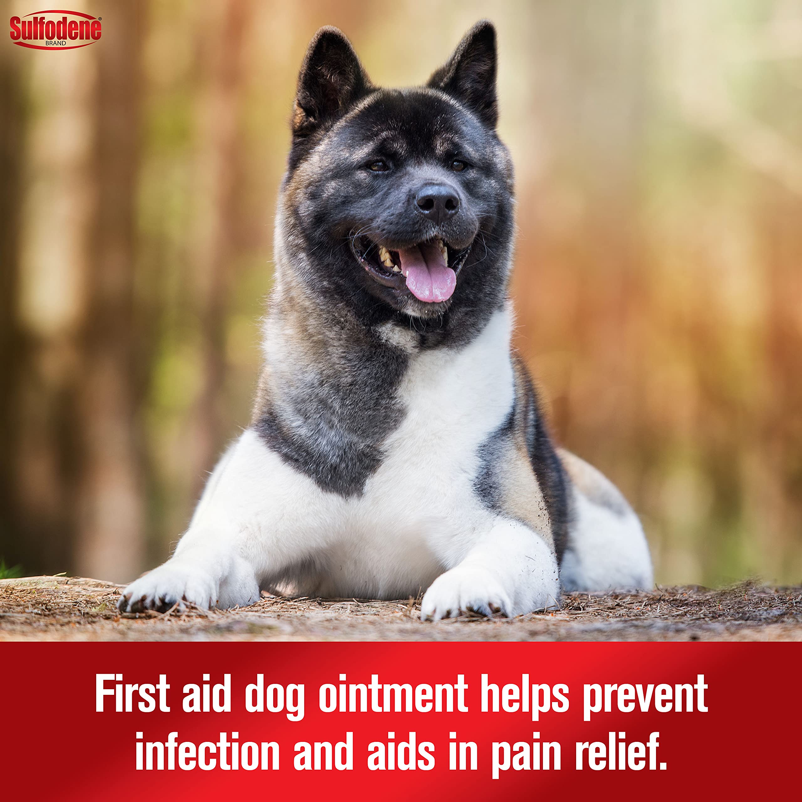 Sulfodene Dog Wound Care 3-Way Ointment, Relieves Pain & Prevents Infection For Dog Cuts, Scrapes, Bites and Injuries, 2 Ounce
