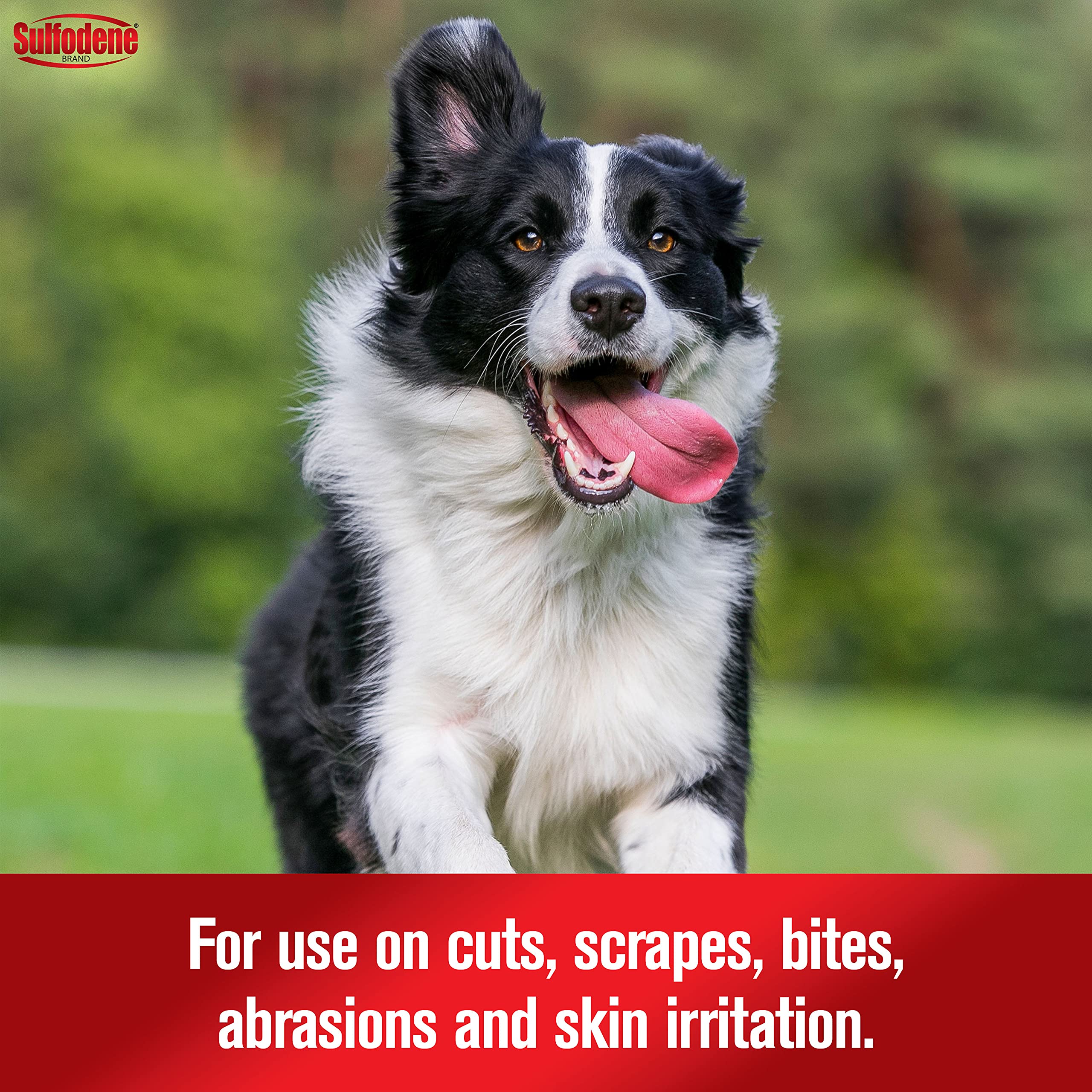 Sulfodene Dog Wound Care 3-Way Ointment, Relieves Pain & Prevents Infection For Dog Cuts, Scrapes, Bites and Injuries, 2 Ounce