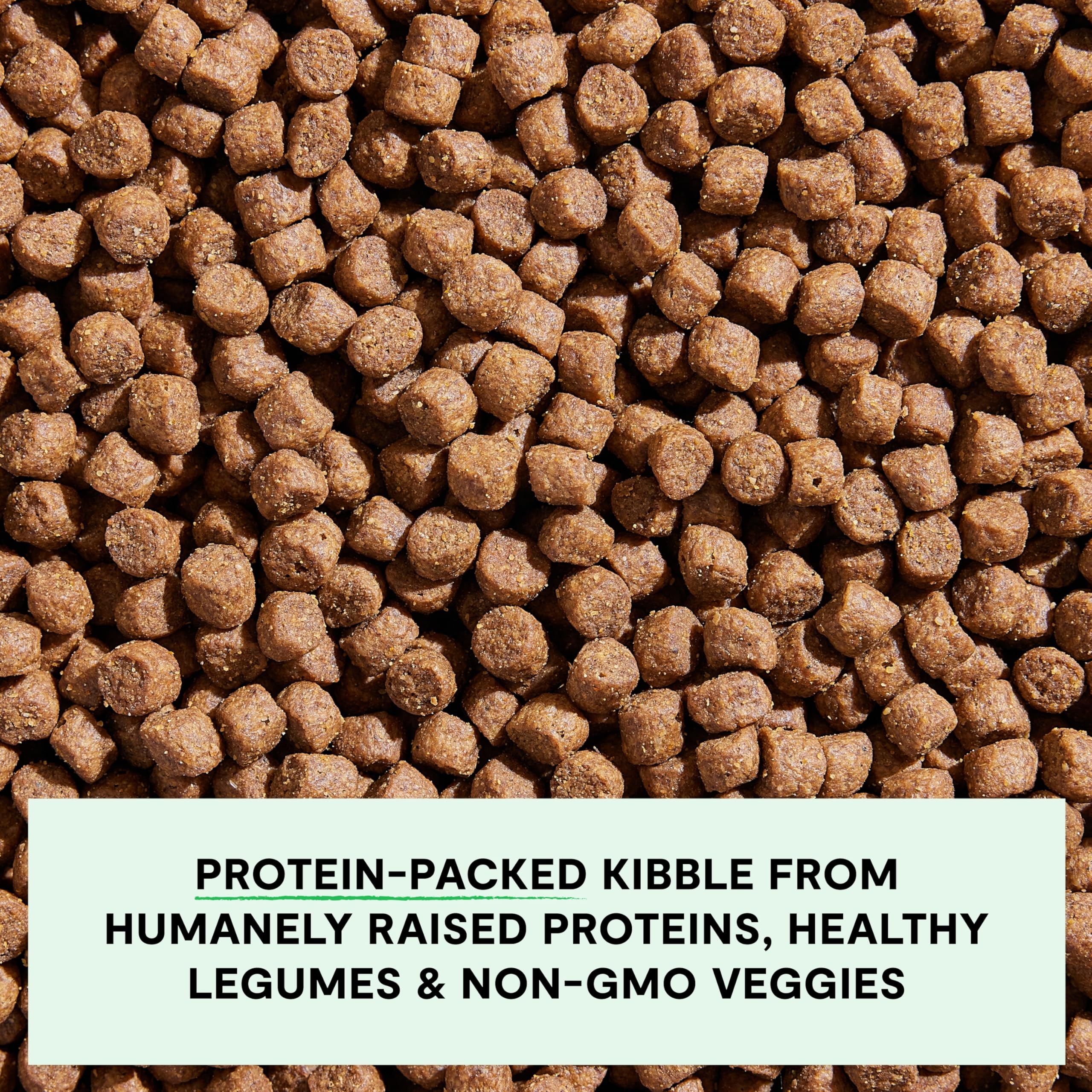 Open Farm, Grain-Free Dry Dog Food for Small Breeds, High-Protein Kibble, Sustainably & Ethically Sourced Ingredients, Non-GMO Veggies & Superfoods, Chicken & Turkey Recipe for Small Dogs, 4lb Bag
